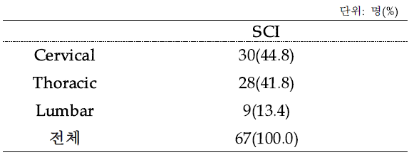 척수손상 환자의 레벨