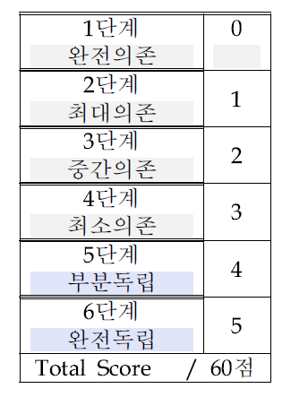 일상생활수행능력 점수 척도