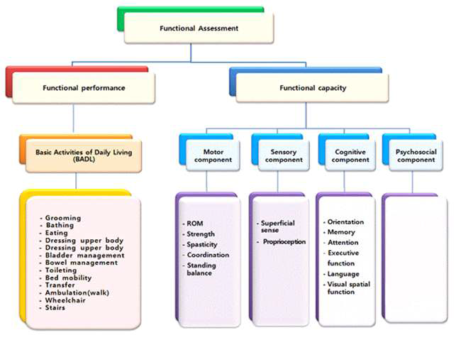 기능평가도구 모식도