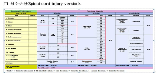 기능평가도구 척수손상 beta version 1.0