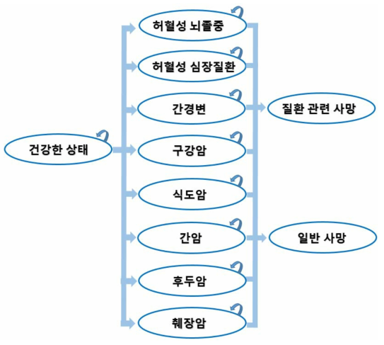 마콥모형 개요 (음주)