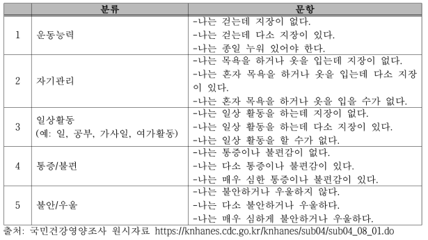 EQ-5D 측정도구