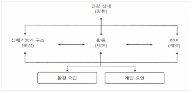 기능, 장애, 건강에 대한 통합적 생심리사회적 모형