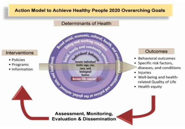 Healthy People 2020 목표 달성을 위한 실천 모델