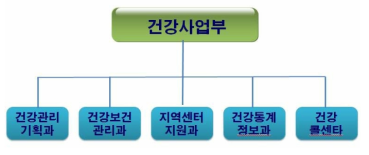 제2안 국립재활원 위탁모형 – 건강사업부