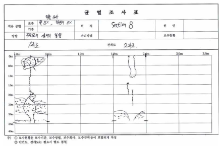 Section 8 균열조사표