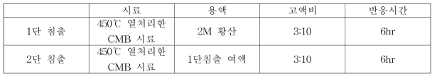 실증화 공정 침출 실험 조건