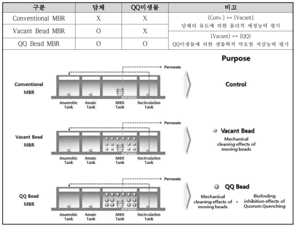 Pilot plant 설치 조건 및 목적