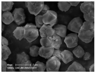 Scanning electron microscopy image of Zeolite X
