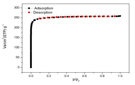 ACF adsorption/desorption isotherm