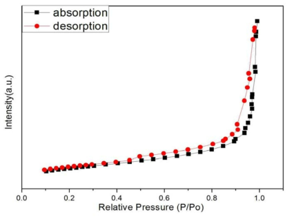 Zeolite Y adsorption/desorption isotherm