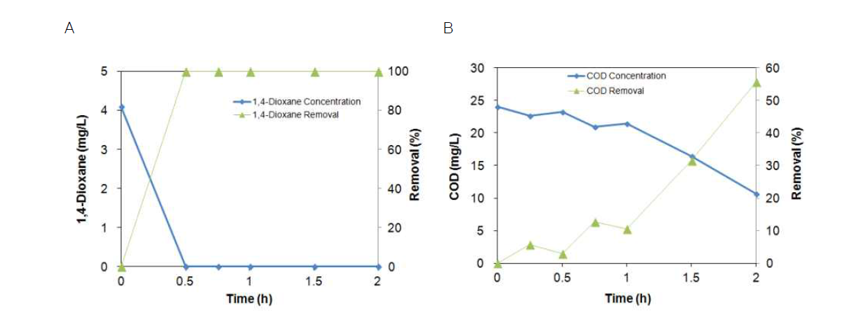 분리막 생물반응기 처리수 C의 1,4-다이옥산, COD 제거율. (A) 1,4-다이옥산 제거율, (B) COD 제거율