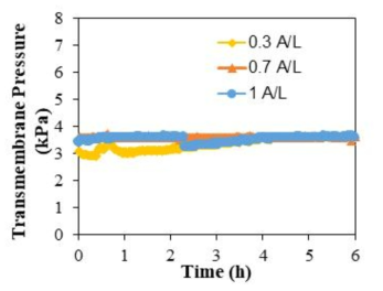 금속 분리막을 이용한 회분식 실험에서 전류 밀도에 따른 TMP 변화