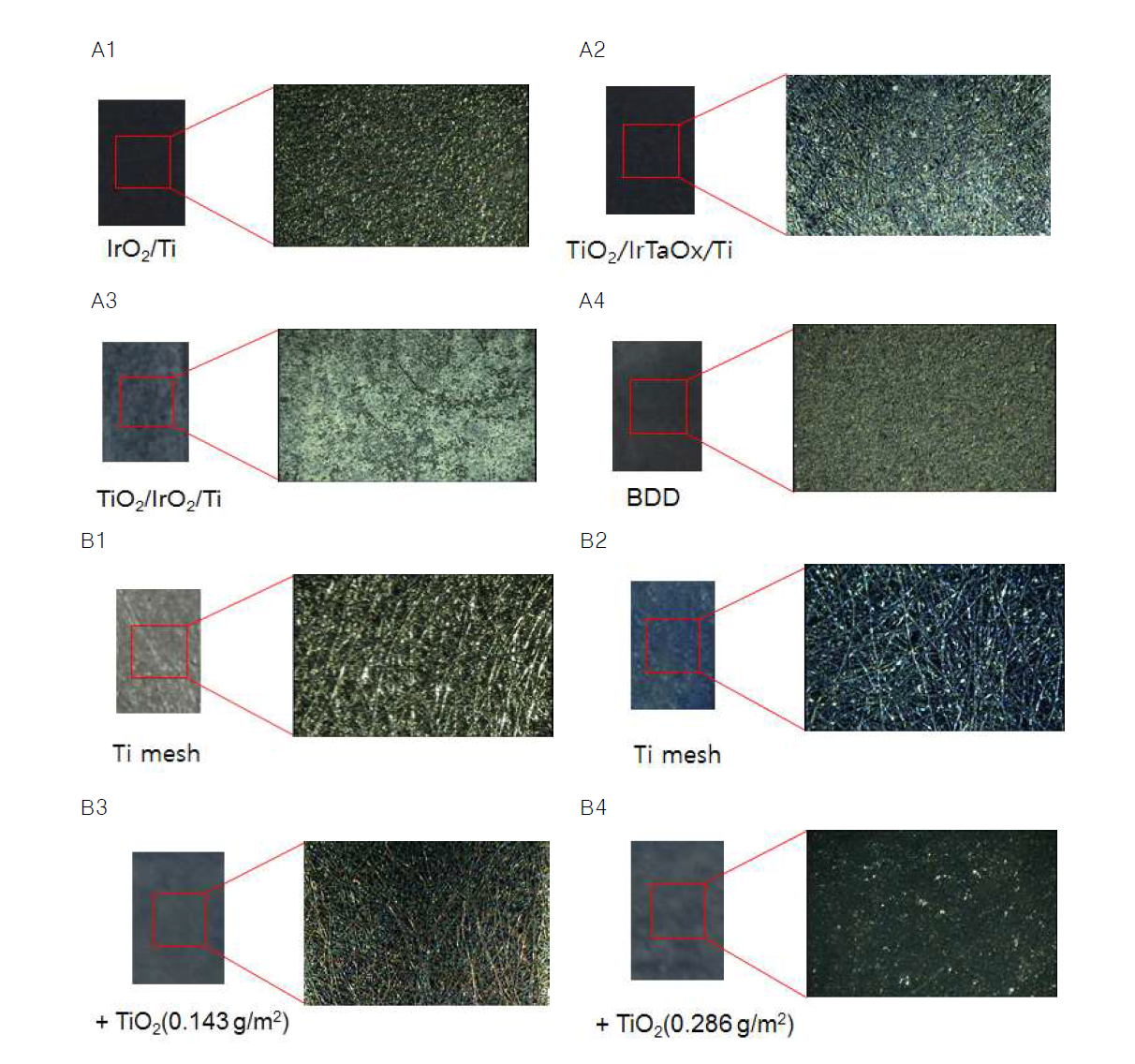 비디오 현미경을 이용한 전극 표면 사진. (A) 플레이트전극, (B) Ti 메쉬 전극과 TiO2 코 팅 전극, (C) TiO2와 도핑물질의 몰비가 1%인 메쉬전극, (D) TiO2와 도핑물질의 몰비가 10%인 메쉬전극