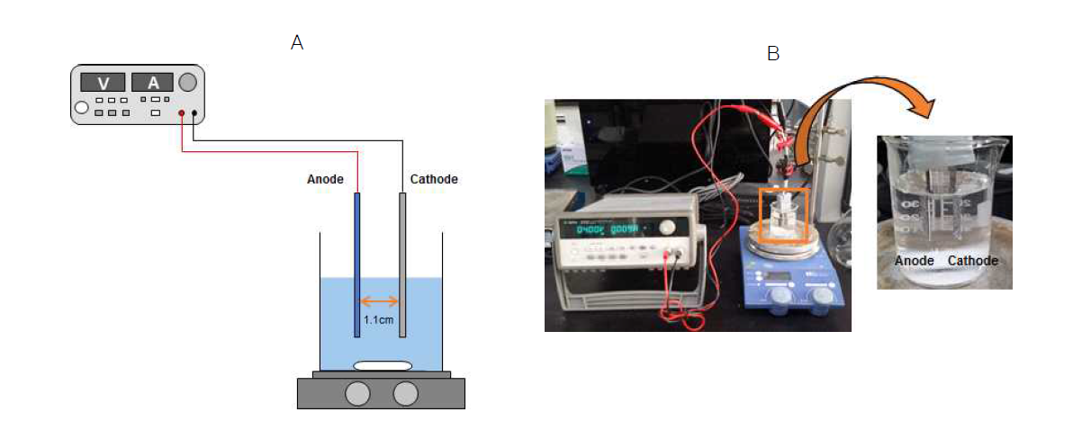 코팅 전극 테스트용 전기 분해 반응기. (A) 모식도, (B) 반응기 실제 사진