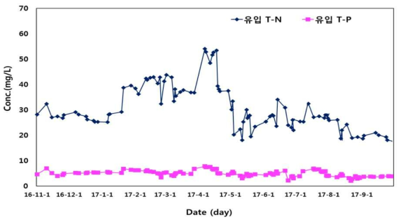 유입수의 질소 및 인 농도 변화