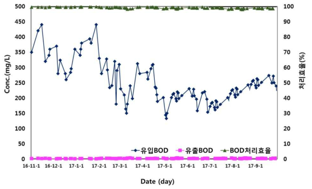 BOD 처리효율 변화