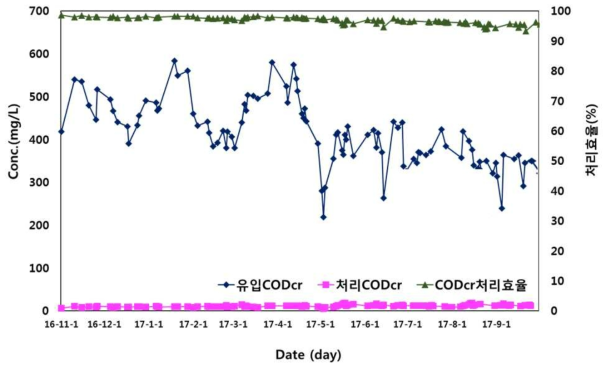 CODcr 처리효율 변화