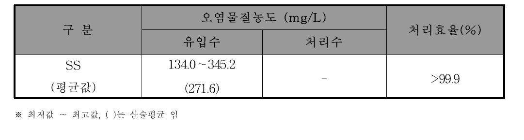 SS 처리효율