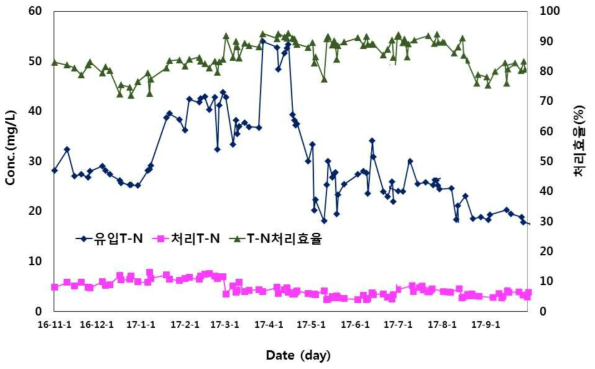 T-N의 처히효율 변화