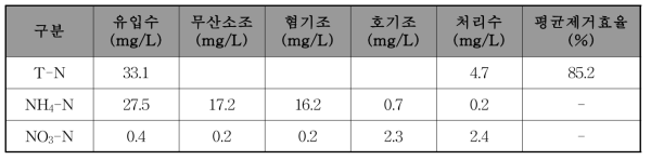 질소 처리효율