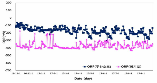 평가기간 중 ORP 변화