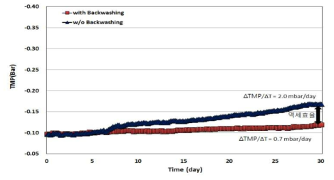역세척 적용 유무에 따른 TMP 상승률 비교