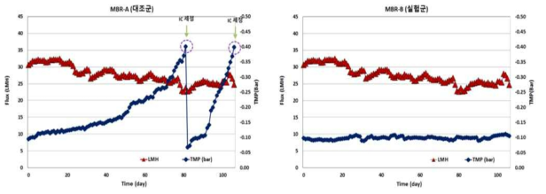 역세 및 유동상세정볼 적용 유무에 따른 TMP 상승률 비교