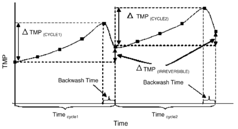 주기적인 역세척을 적용한 막여과 시스템의 TMP 변화