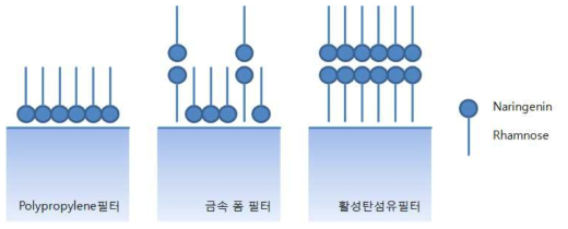 필터 표면에서 나린진의 분자 배향 예상도