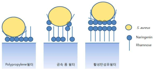 S. aureus와 필터표면간의 접촉 예상 모식도