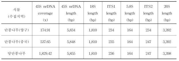 단풍나무 (양구, 중국), 당단풍나무의 45S nrDNA 정보
