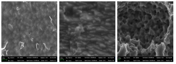 전해질 Na2SO4를 사용한 INTs(D=10mm)의 제조조건에 따른 FE-SEM 이미지