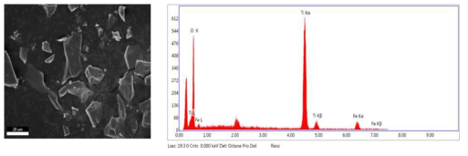 TNB : Benzene = 2 : 4로 제조한 Ti-doped MIO의 SEM 및 EDX 분석결과