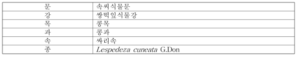 비수리의 식물학적 분류