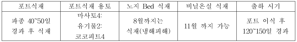 섬바디의 포트식재 및 관리