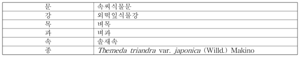 솔새의 식물분류학적 분류