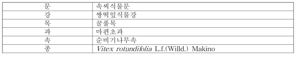 순비기나무의 식물분류학적 분류