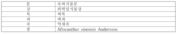 참억새의 식물분류학적 분류