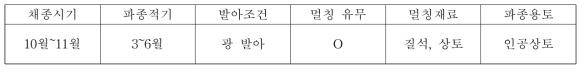 매듭풀의 종자번식