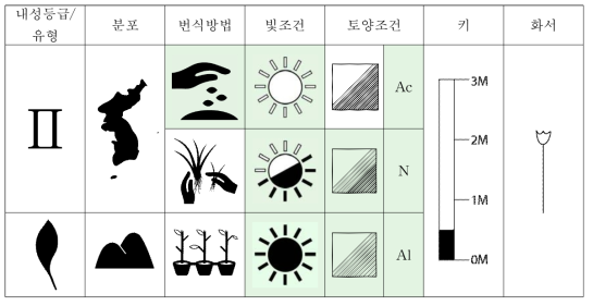 매듭풀의 특성표