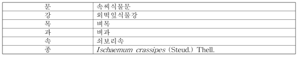 쇠보리의 식물분류학적 분류