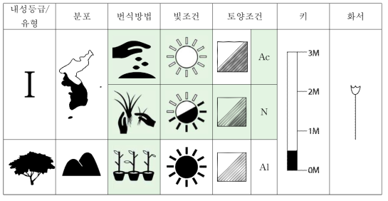 돌가시나무의 특성표