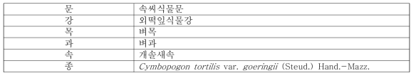 개솔새의 식물분류학적 분류