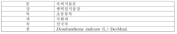 감국의 식물분류학적 분류