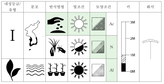 갯개미취의 특성표