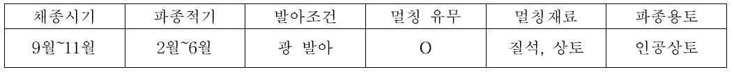 갯기름나물의 종자번식