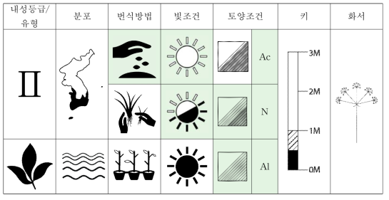 갯기름나물의 특성표