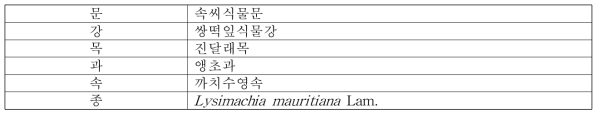 갯까치수영의 식물분류학적 분류