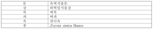 갯잔디의 식물분류학적 분류